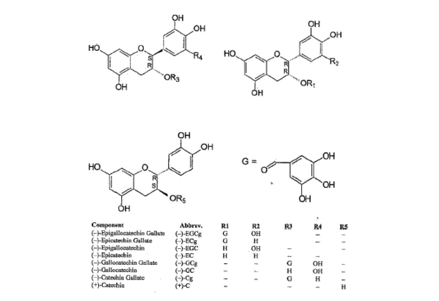 General Structure of Catechins